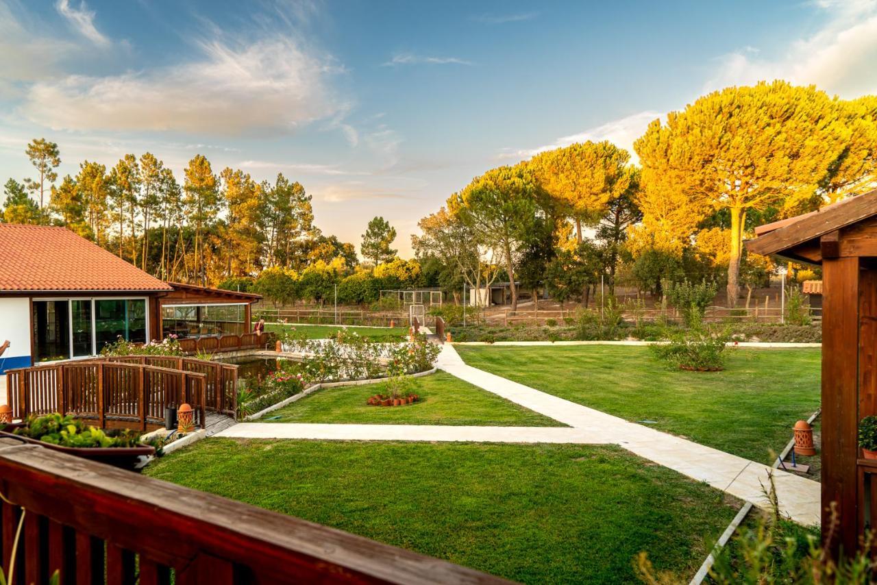 Quinta Do Cutato - Beatriz Guest House - Sotao Santo Estevao  Exterior photo